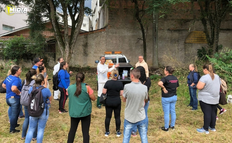 Casos e mortes por dengue caem mais de 96% no Paraná em 2026