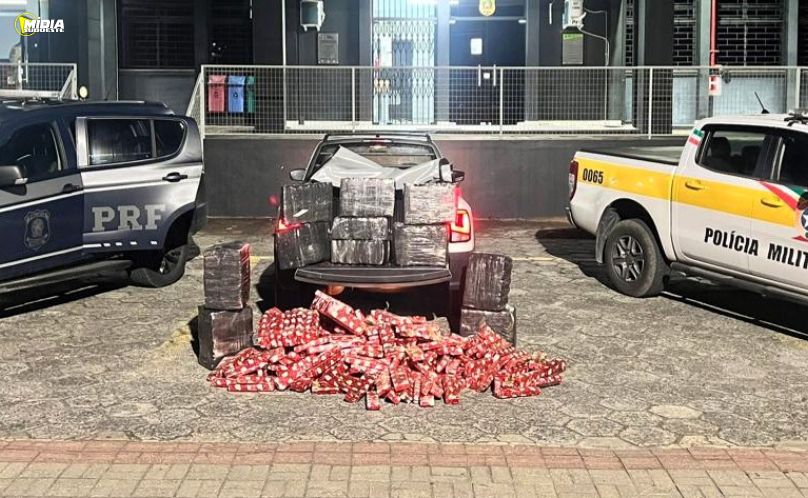 Mais de 300 quilos de maconha são apreendidos