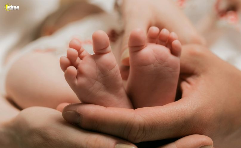 Paraná amplia Teste do Pezinho para diagnóstico de até 51 doenças