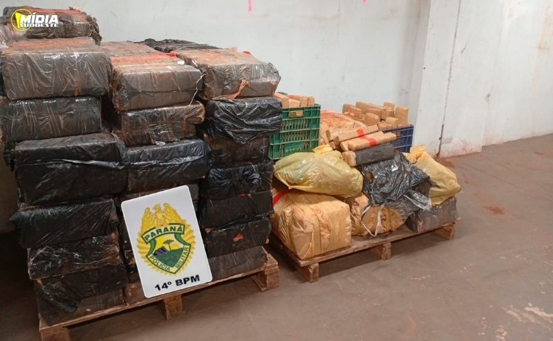 PMPR apreende mais de 880 quilos de maconha em área de mata