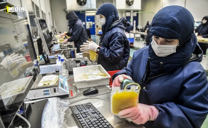 Dia Mundial da Hemofilia reforça importância do diagnóstico precoce