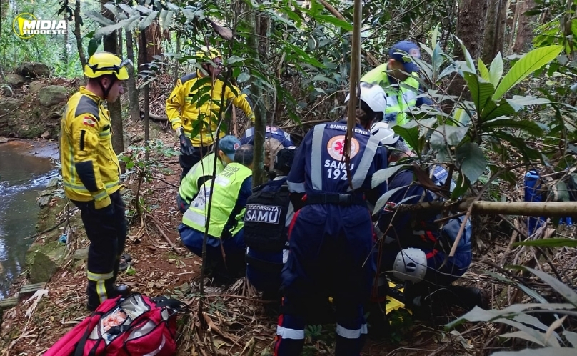 PRF apreende medicamentos