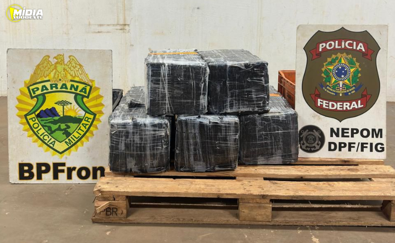 BPFRON e Polícia Federal apreendem 151 kg de maconha