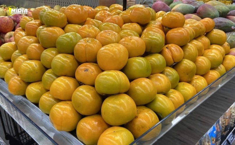 Safra de caqui ganha força no Paraná com produção de 6 mil toneladas