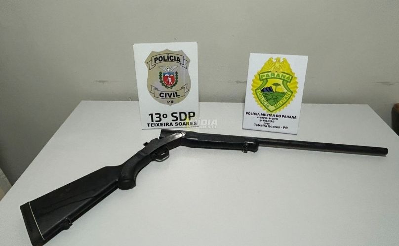 PCPR resgata gato e aponta suspeitos de maus-tratos