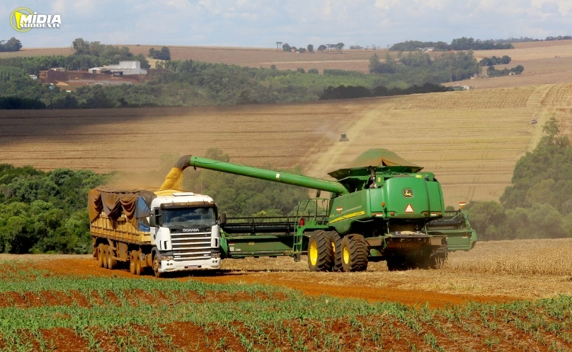 Paraná projeta safra robusta com mais de 39 milhões de toneladas