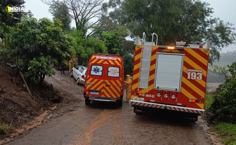 Carro sai da pista e bate contra árvore