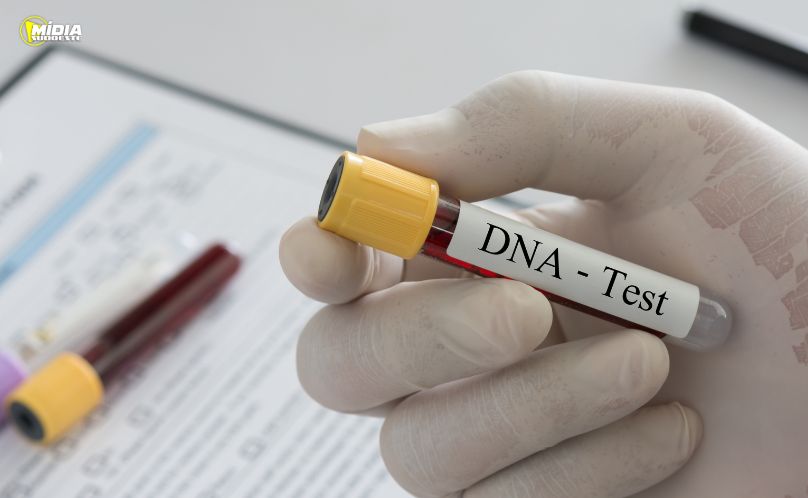Paraná conclui coleta de DNA em unidades penais com operação integrada