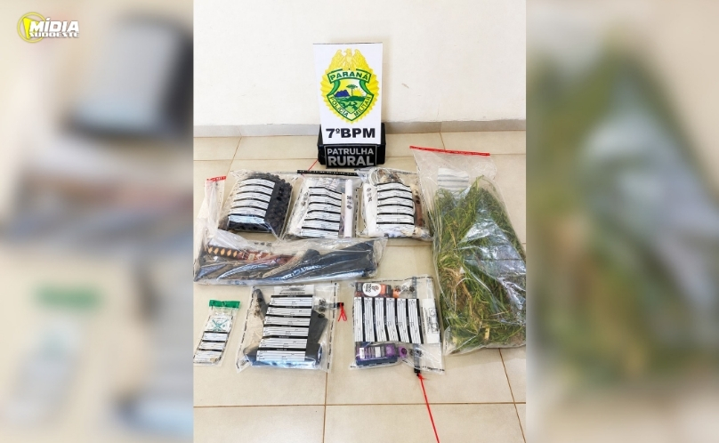 Plantação de maconha é descoberta e desmantelada em Goioerê