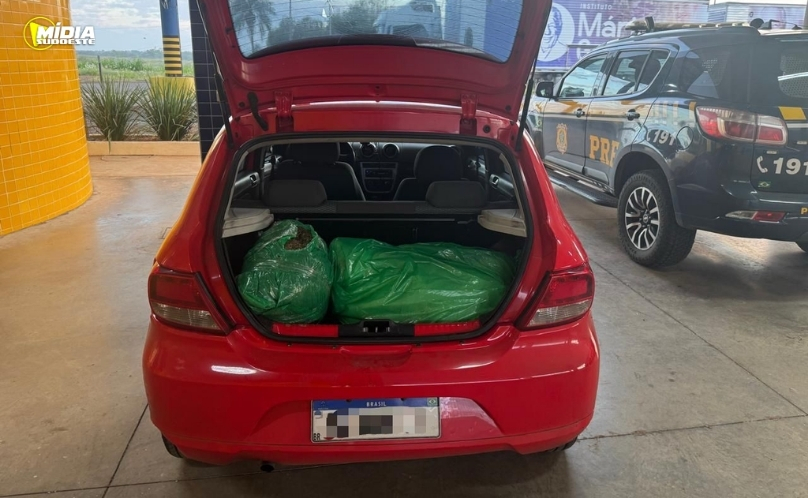 PRF prende motoristas de aplicativo com mais de 120 kg de drogas