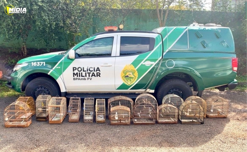 Animais silvestres são encontrados em cativeiro ilegal
