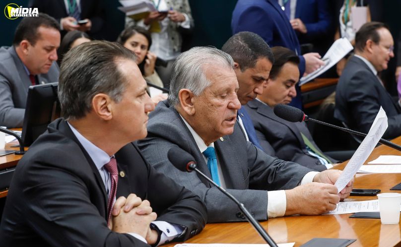 Aprovado relatório do Deputado Sperafico que reconhece Toledo como Capital Nacional da Proteína Animal