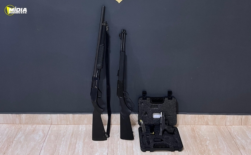 Polícia Civil apreende armas durante investigação de violência doméstica