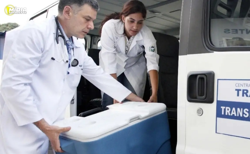 Brasil bate recorde de transplantes em 2025