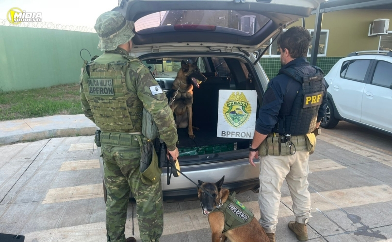 BPFRON e PRF apreendem mais de 100 quilos de maconha