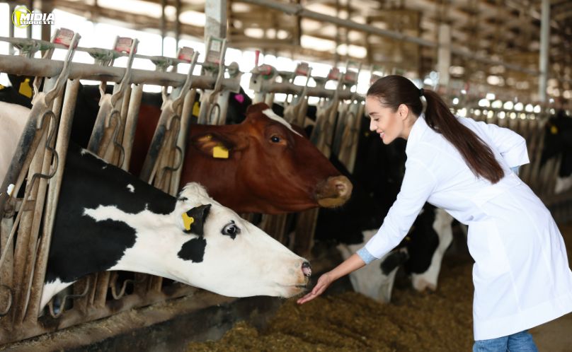 Comissão aprova inclusão de zootecnistas no piso salarial de engenheiros e veterinários