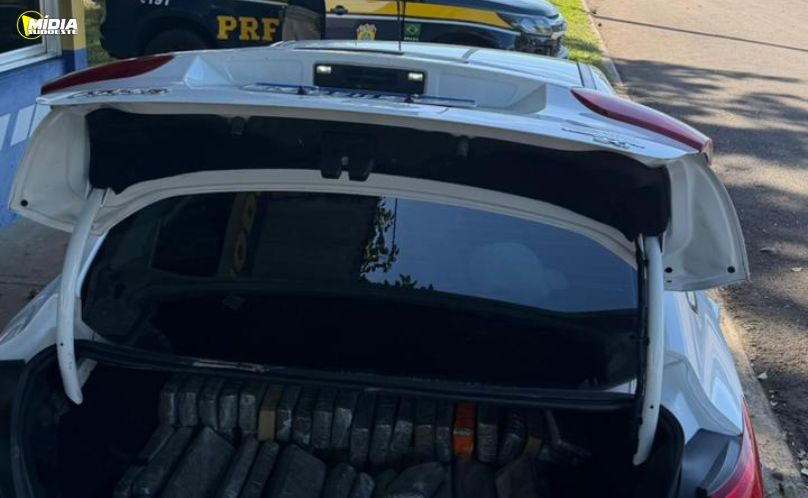 PRF apreende mais de 145 kg de maconha