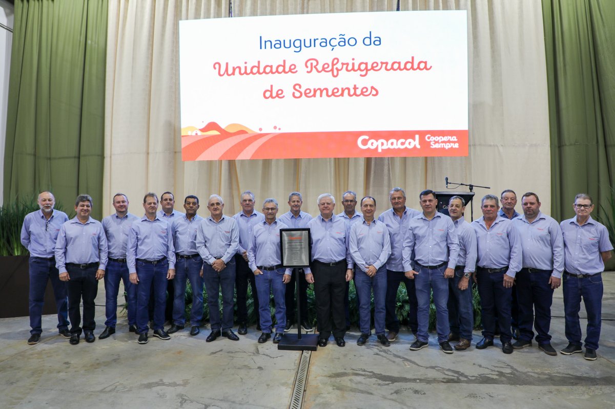 Imagem 2