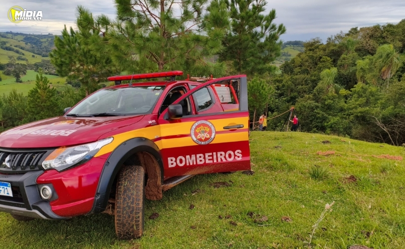 Bombeiros salvam bovino preso em ribanceira de difícil acesso