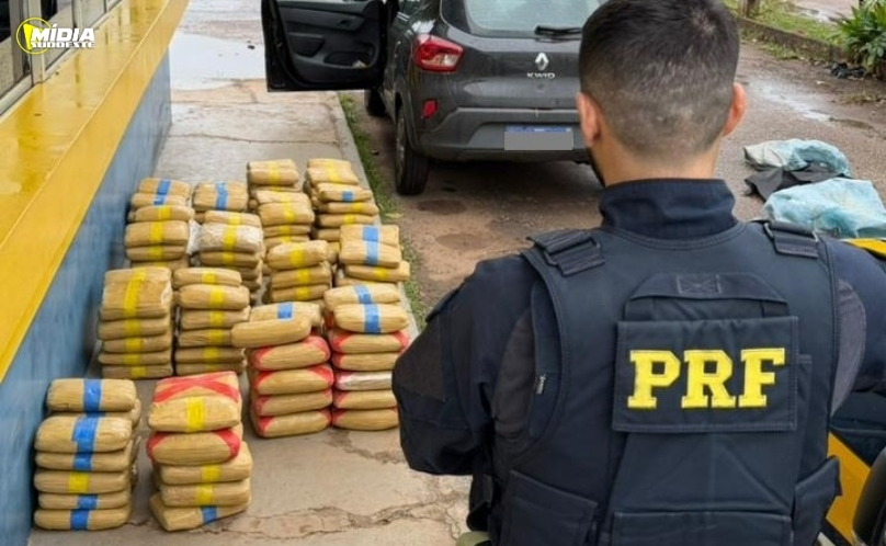 PRF apreende quase 175 kg de skunk e prende dois homens