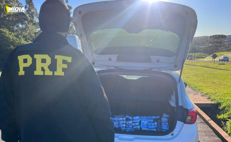 PRF apreende mais de 100 quilos de maconha na BR-277