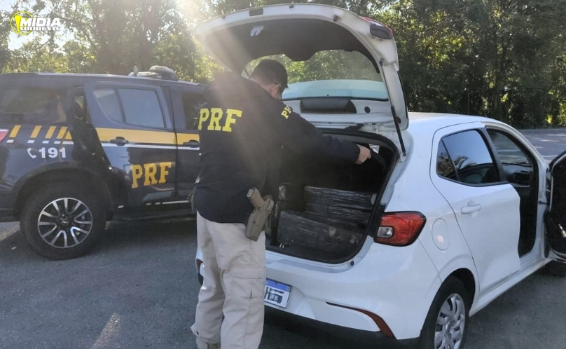 PRF apreende mais de 400 quilos de maconha na BR-101