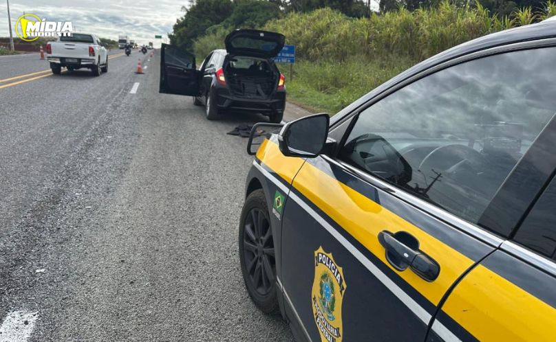PRF apreende quase meia tonelada de maconha