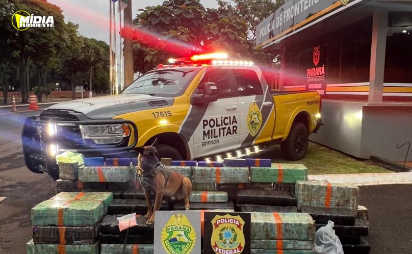 Mais de 930 quilos de maconha são apreendidos