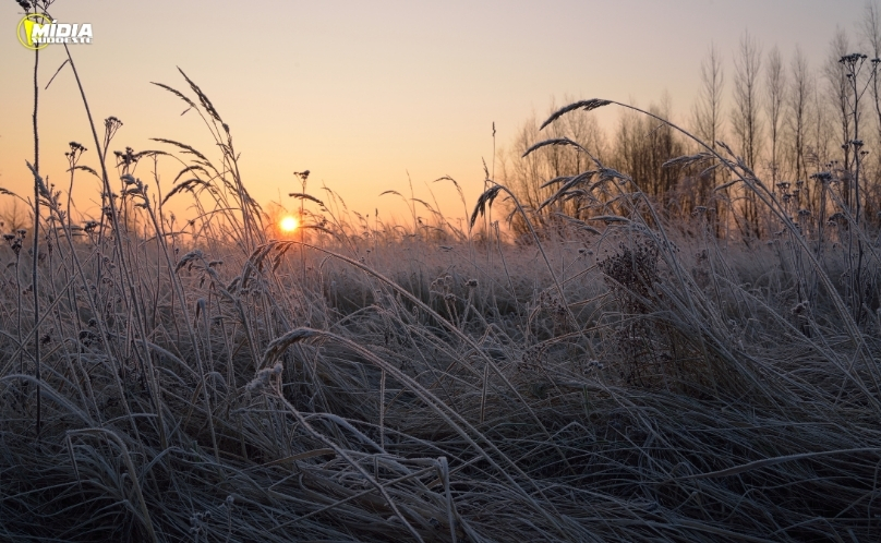 Paraná terá semana de frio intenso e possibilidade de geada