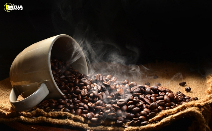 Consumo de café sobe 2,44% no primeiro quadrimestre deste ano