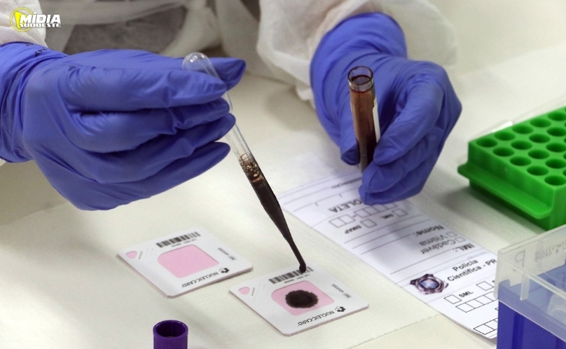 Novo sistema permite identificação genética em até duas horas no Paraná
