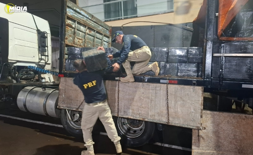 PRF apreende mais de 2,3 toneladas de maconha em carreta na BR-277