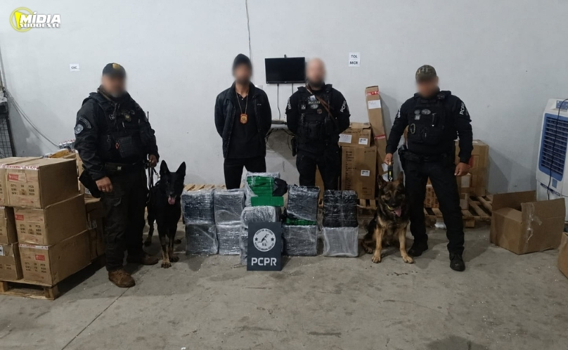 Mais de 150 quilos de maconha são apreendidos em ação da Polícia Civil