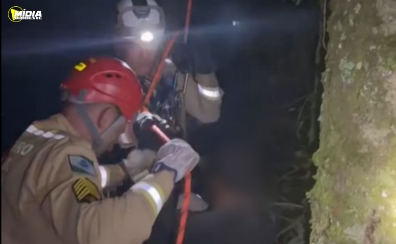 Homem é resgatado de pinheiro a 20 metros