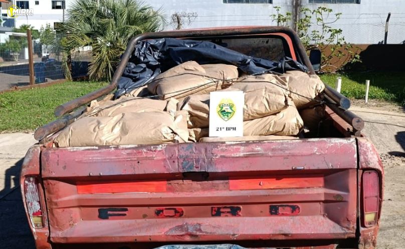 Polícia apreende caminhonete carregada com leite em pó contrabandeado