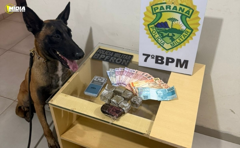 Notícia