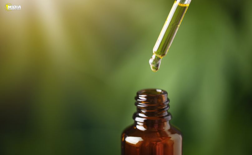 Mulheres entre 45 e 64 anos lideram uso de cannabis medicinal no Brasil