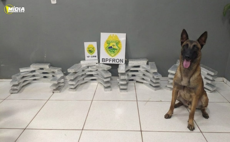 Operação Policial