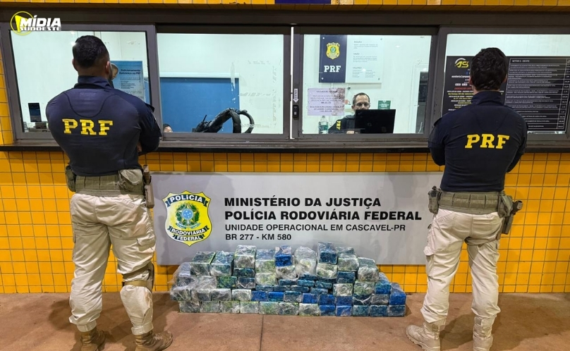 Notícia