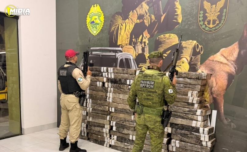Mais de uma tonelada de maconha é apreendida em área de mata