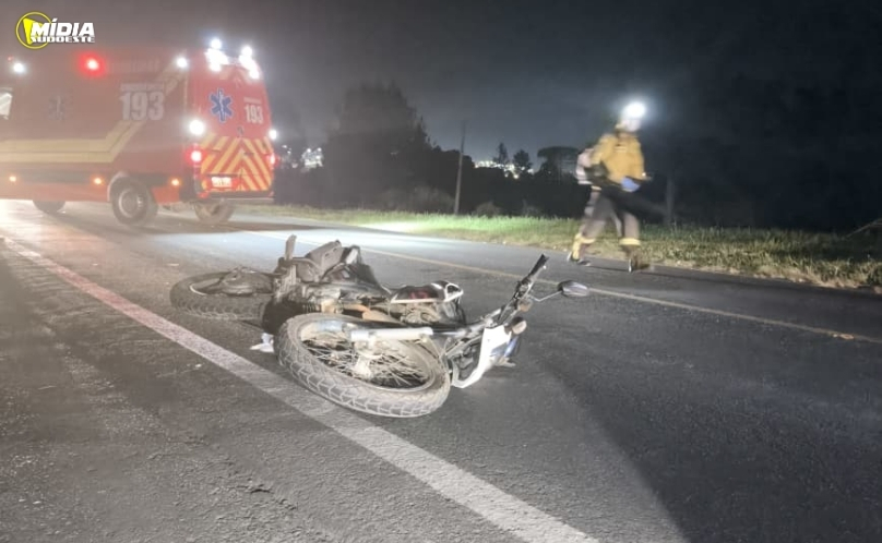 Motociclista fica ferido após colisão com cervo na BR-282