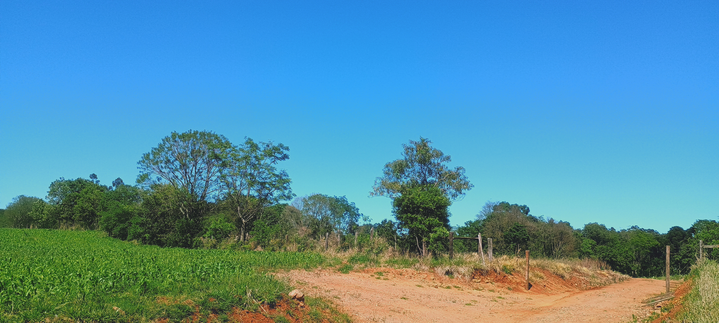 Imagem 12