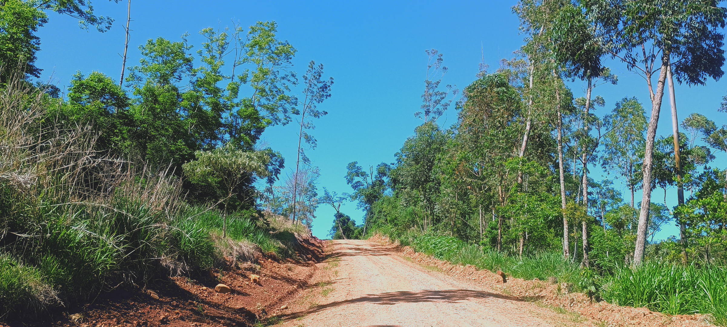 Imagem 9
