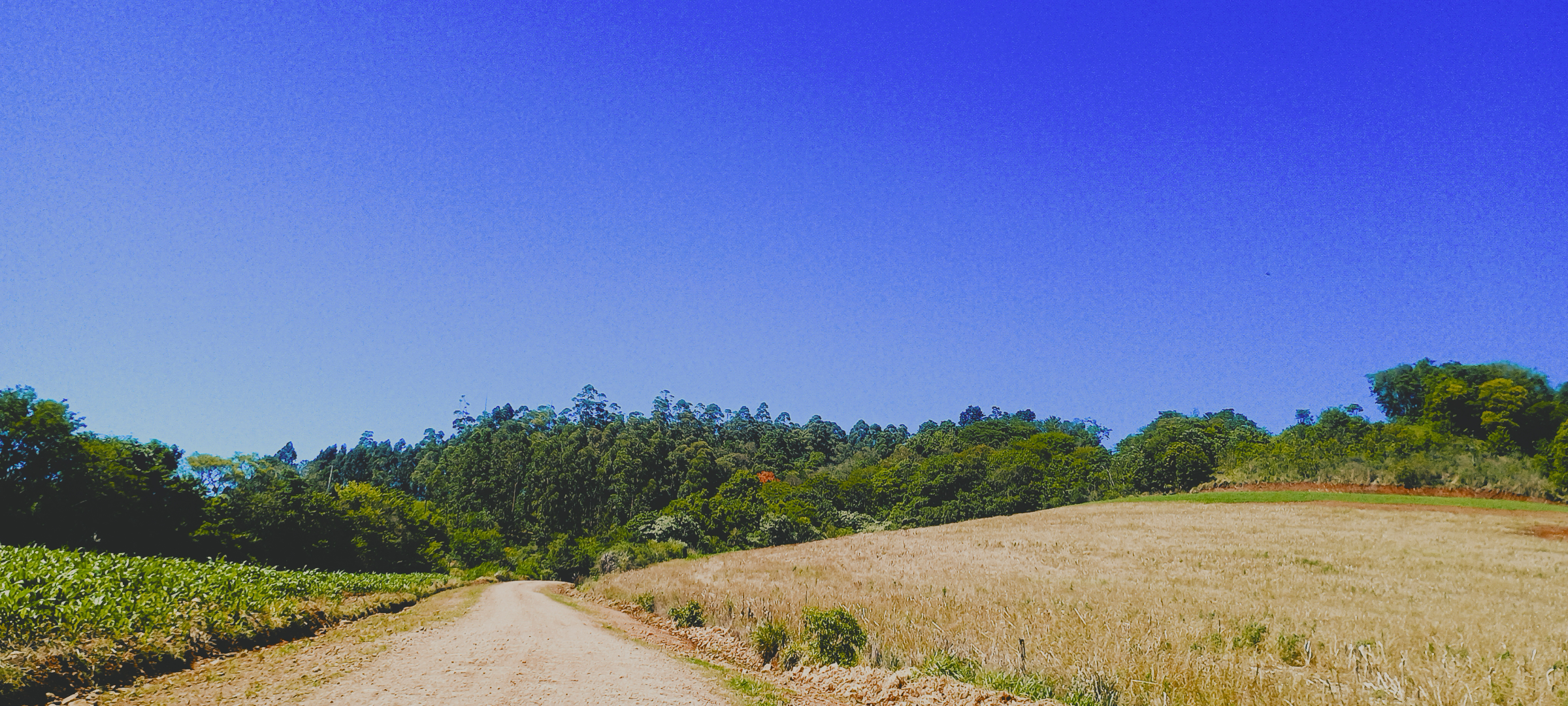 Imagem 6