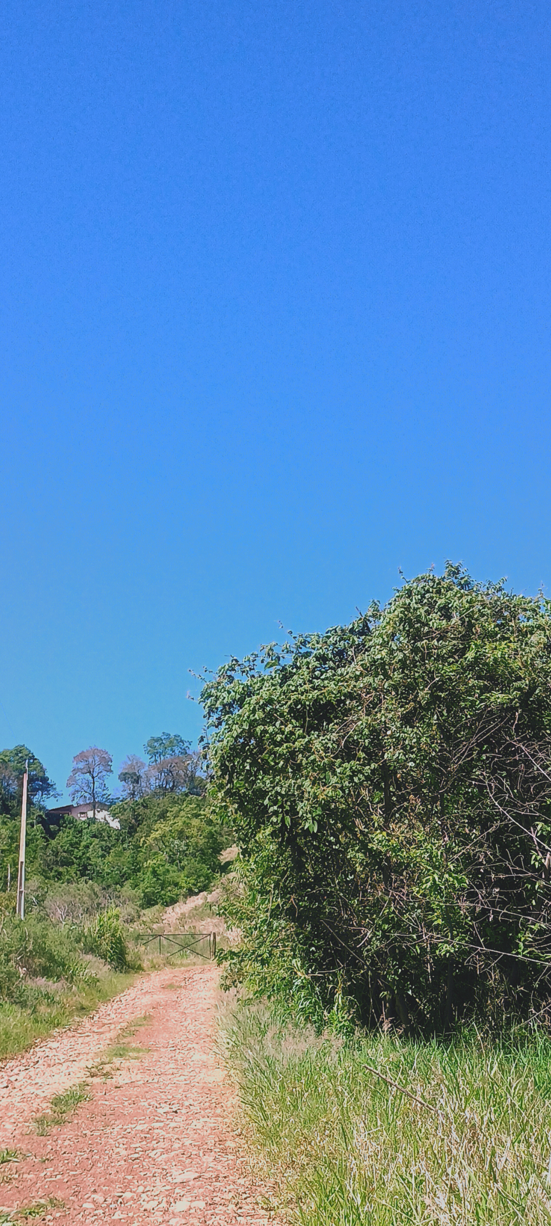 Imagem 5