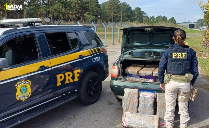 PRF apreende mais de 250 quilos de maconha durante fiscalização