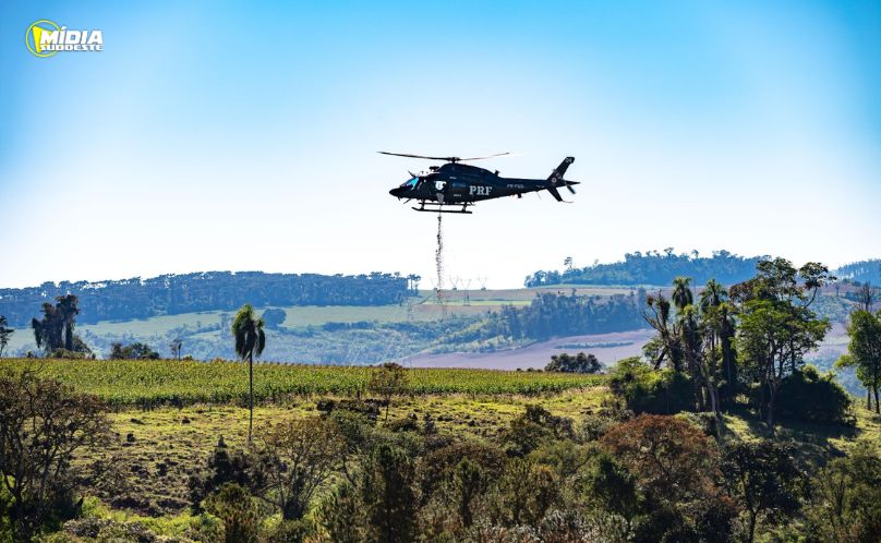 PRF lança 18 toneladas de sementes para recuperar áreas da Mata Atlântica no Paraná