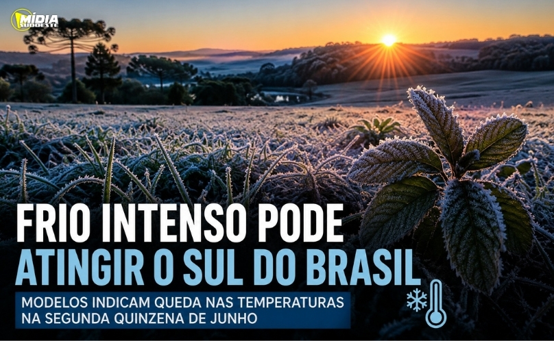 Notícia Geral