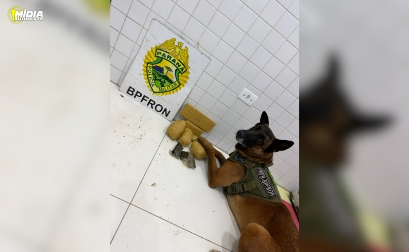 PRF apreende medicamentos