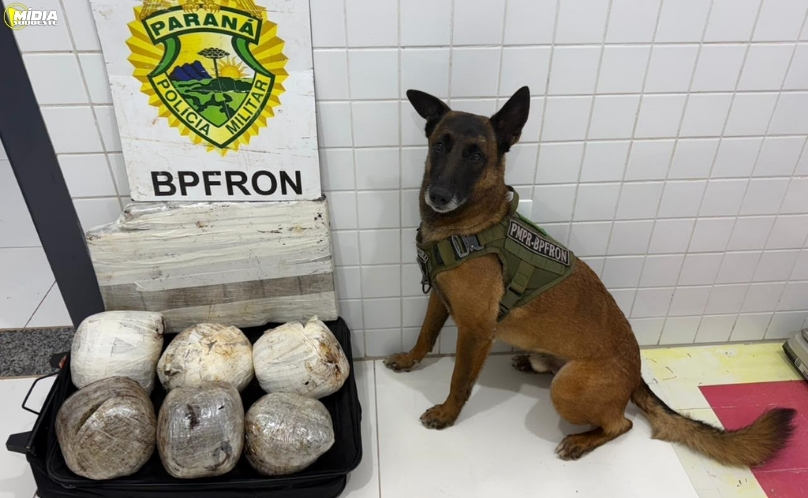 Operação Policial